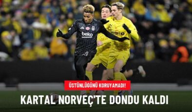 Kartal Norveç’te dondu kaldı